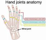 What Does Jointure Mean?