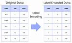 What Does Labelencoder(). Fit() Do?