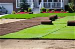 What Does Landscaping Include