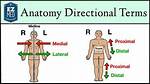 What Does Lateral Mean