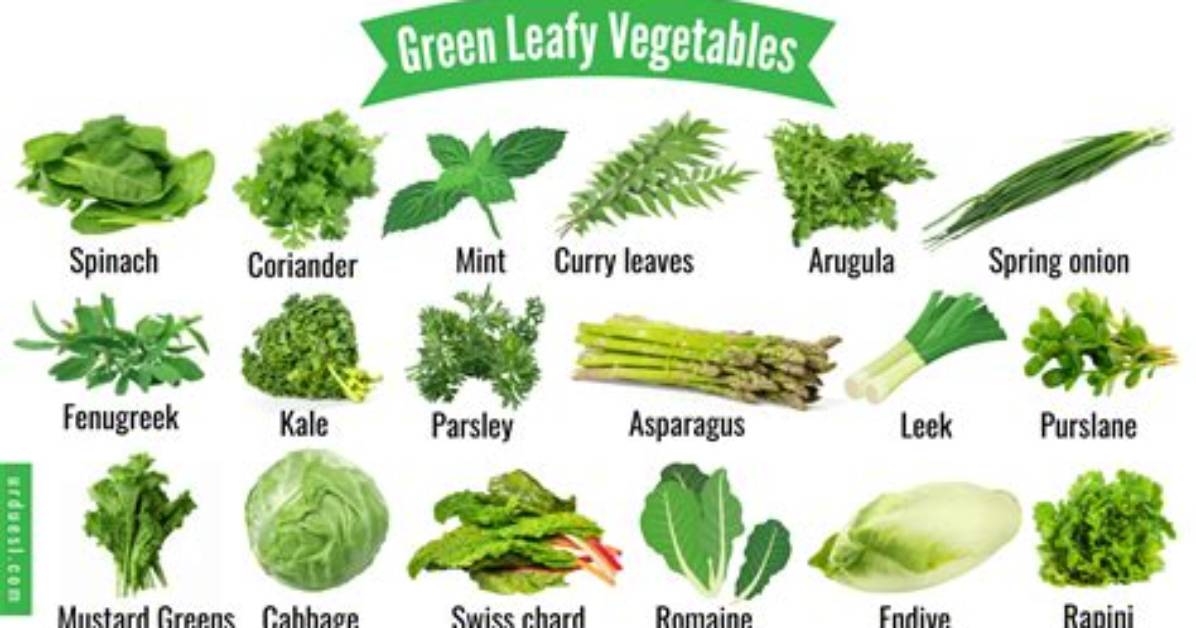 What Does Leafy Mean?