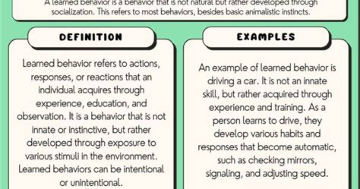 What Does Learned Mean?