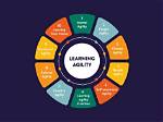 What Does Learning Agility Mean