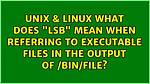 What Does Lib Mean in Linux?