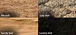What Does Light Soil Mean