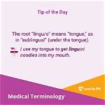 What Does Lingu Mean?