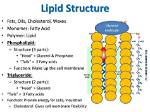 What Does Lipid Do?