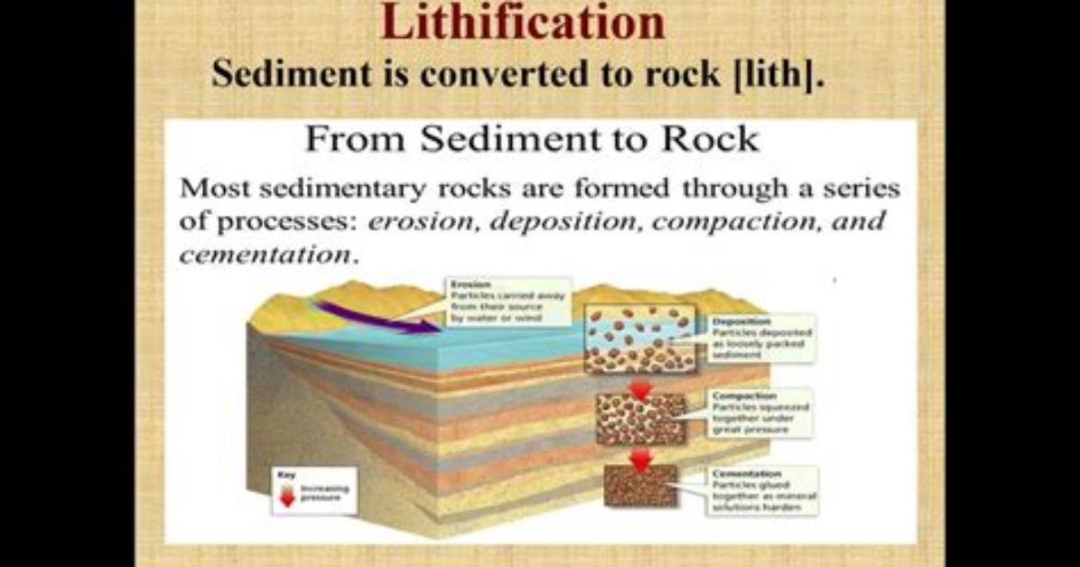What Does Lithogenous Mean?