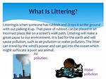 What Does Littered Mean?