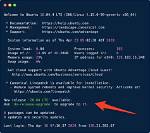 What Does Lts Mean Linux?
