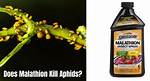 What Does Malathion Kill?