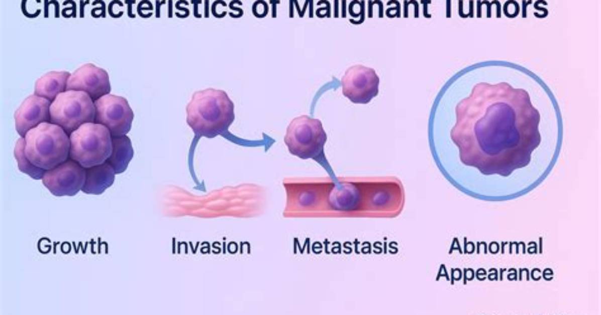 What Does Malignant Mean