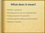 What Does Meek Mean?