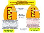 What Does Melas Mean?