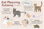 What Does Meowing Mean?