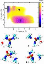 What Does Metadynamics Mean?