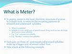 What Does Meter Mean