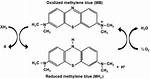 What Does Methylene Blue React With