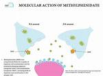 What Does Methylphenidate Do?