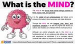 What Does Mind Yourself Mean?