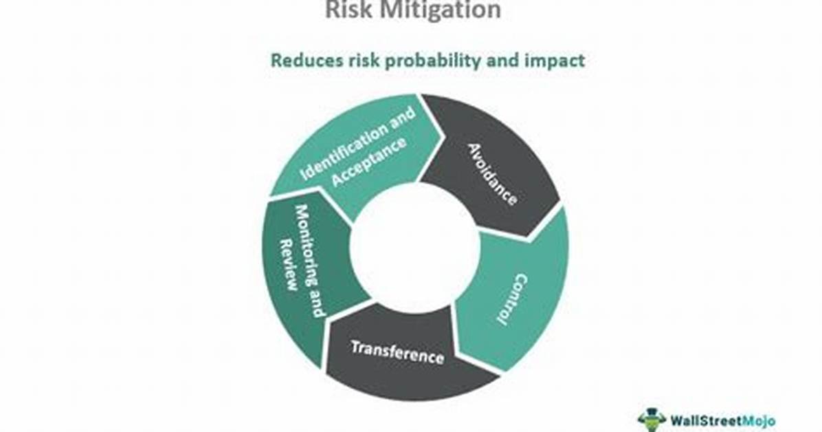 What Does Mitigation Mean