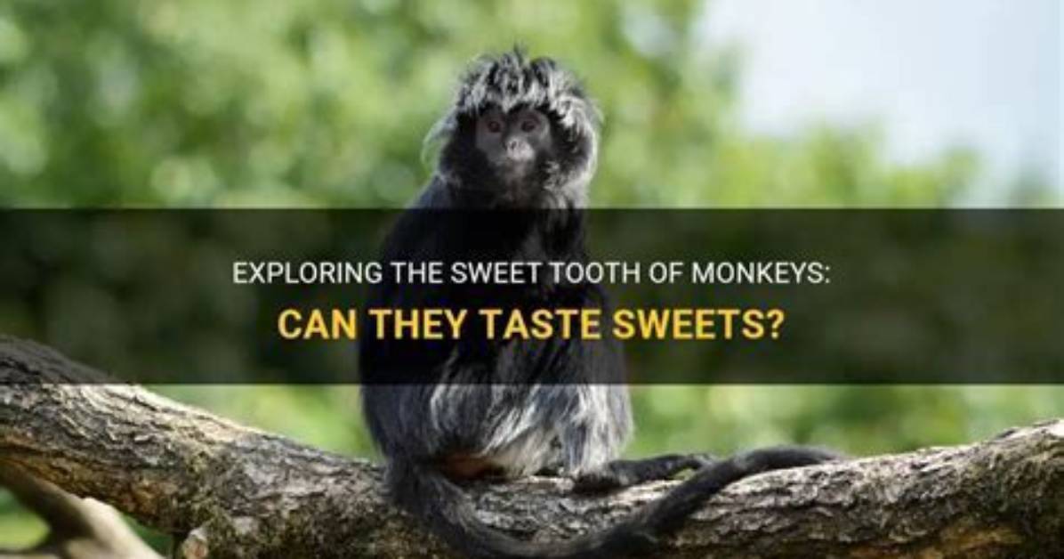 What Does Monkey Taste Like