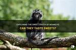 What Does Monkey Taste Like