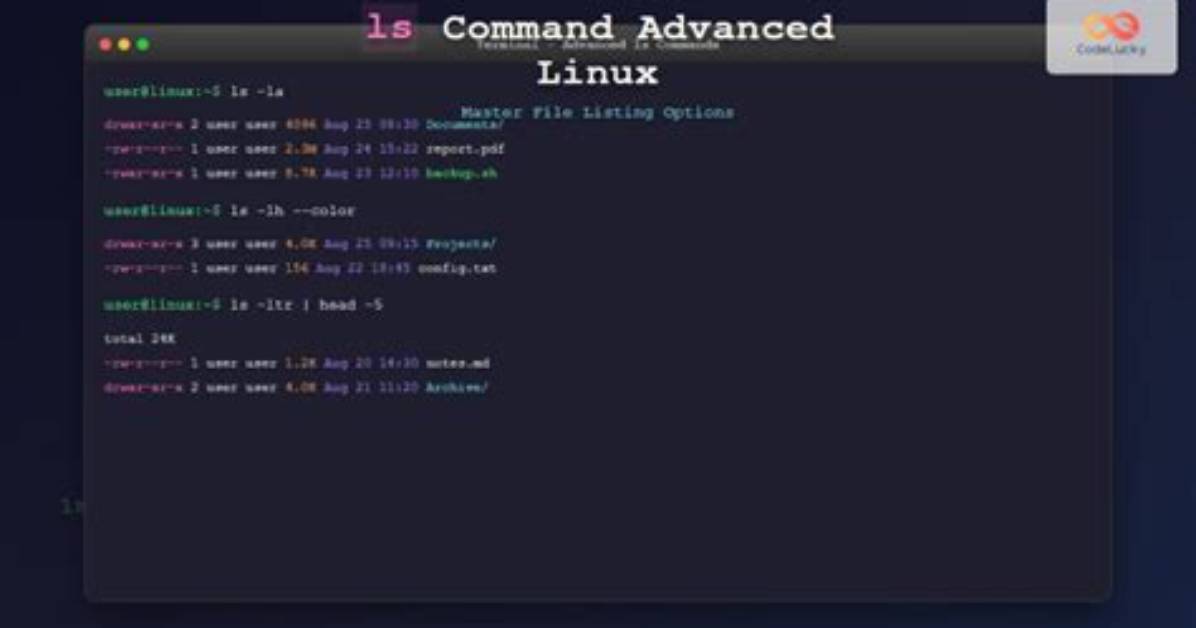 What Does More Command Do in Linux?