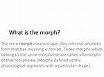What Does Morph Mean