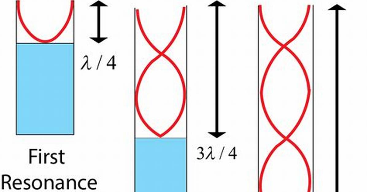 What Does Morphic Resonance Mean?