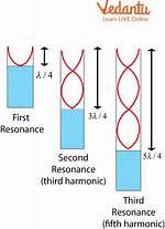What Does Morphic Resonance Mean?