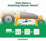 What Does Mulching Do?