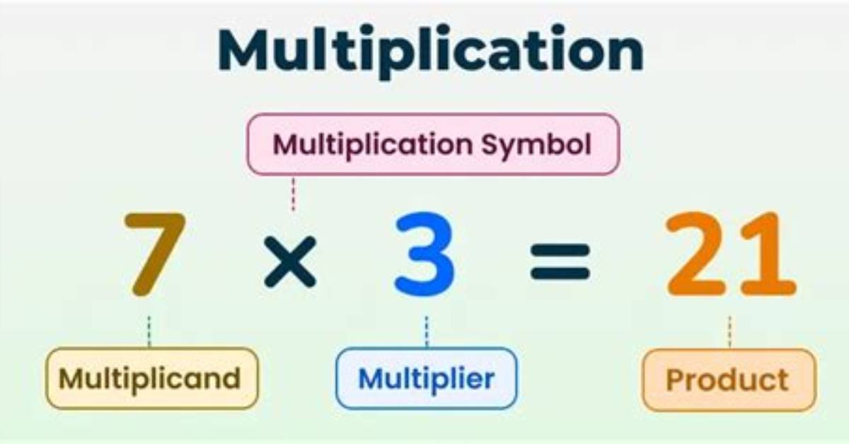 What Does Multiplicative Mean?