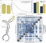 What Does Mutationally Mean?