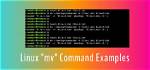 What Does Mv Do in Linux?