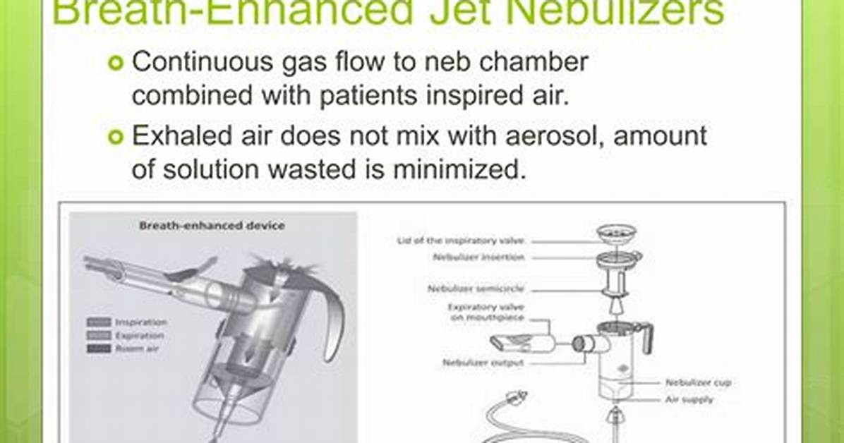 What Does Neb. Mean?
