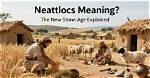 What Does Neolithic Mean?