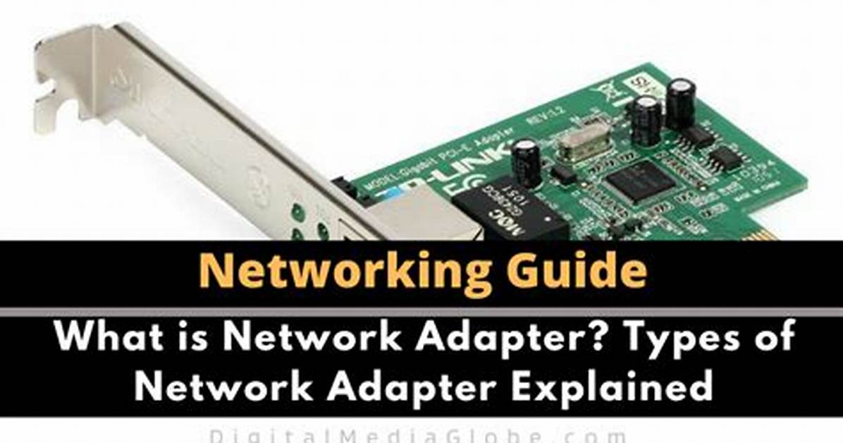 What Does Network Adapter Do?