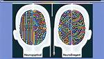 What Does Neurotypical Mean?