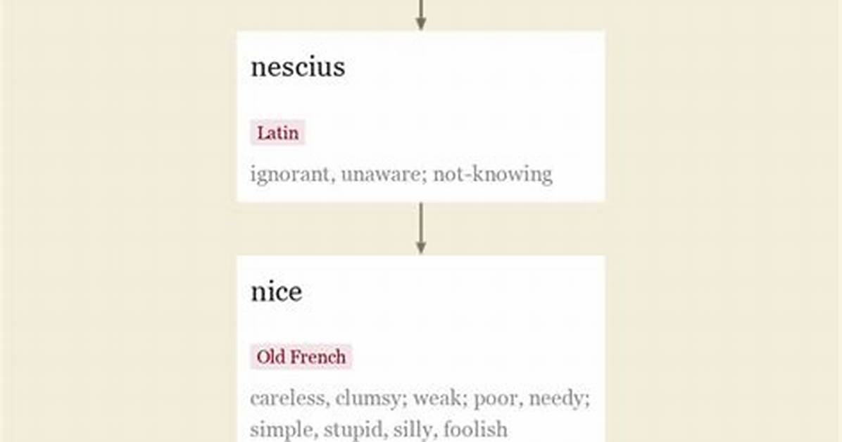 What Does Nice Mean