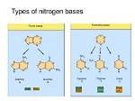 What Does Nitrogen Base Mean?