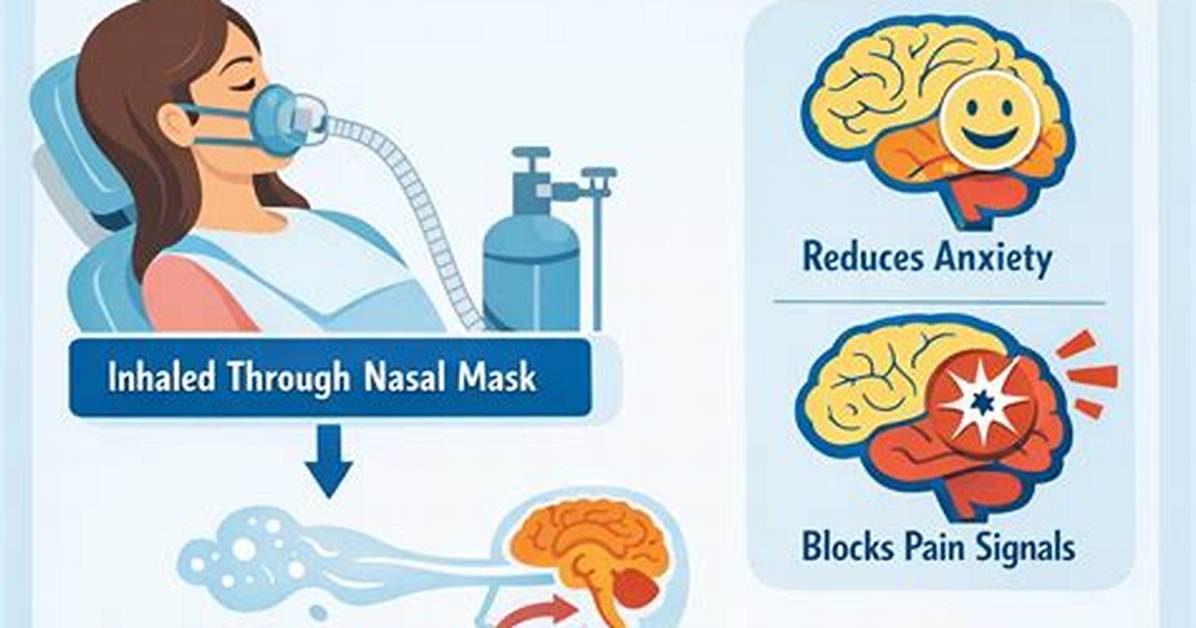 What Does Nitrous Oxide Do?