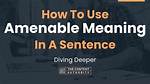 What Does Non Amenable Mean?