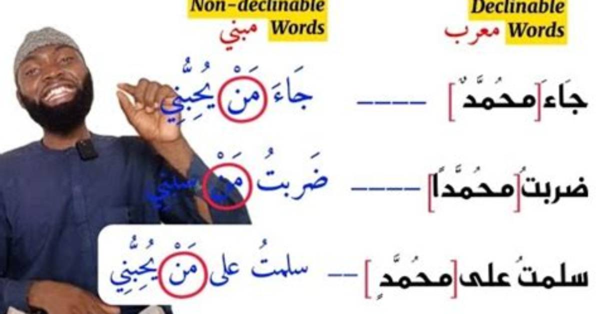 What Does Non Declinable Mean?