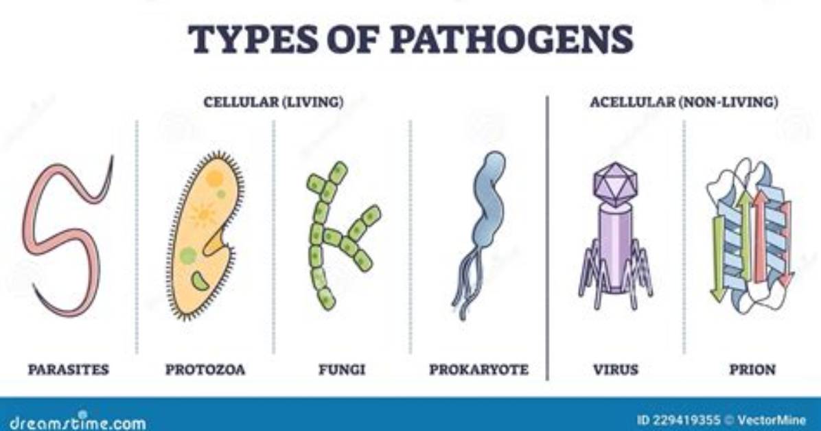What Does Non Pathogenic?