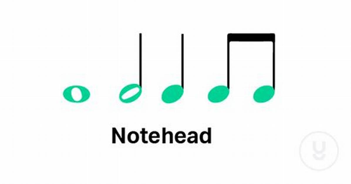 What Does Notehead Mean?