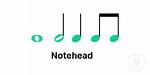 What Does Notehead Mean?