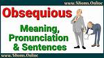 What Does Obsequious Mean