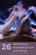 What Does Octopus Mean?