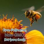 What Does Open Pollinated Mean
